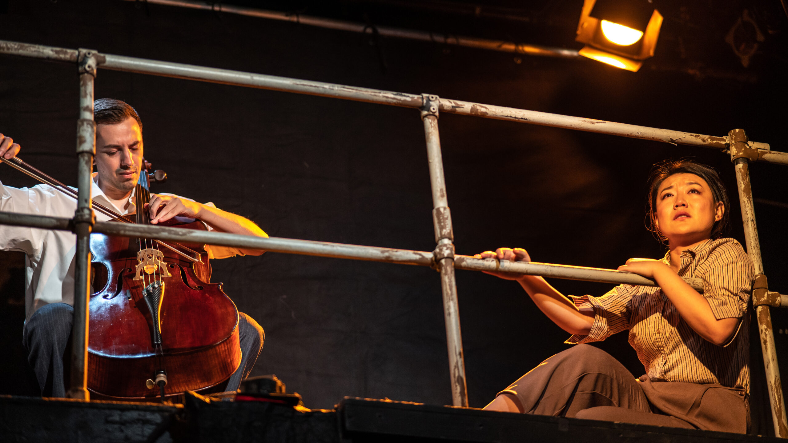 The Year of the Cello Audio Performance.