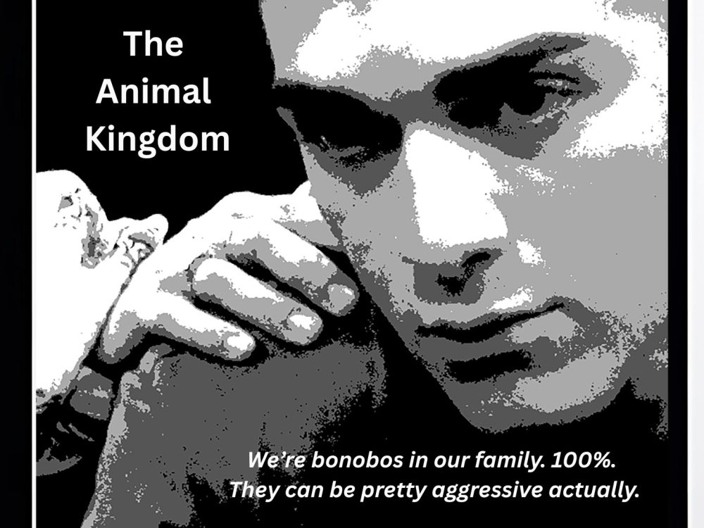The Animal Kingdom - 1